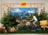 Lipton event