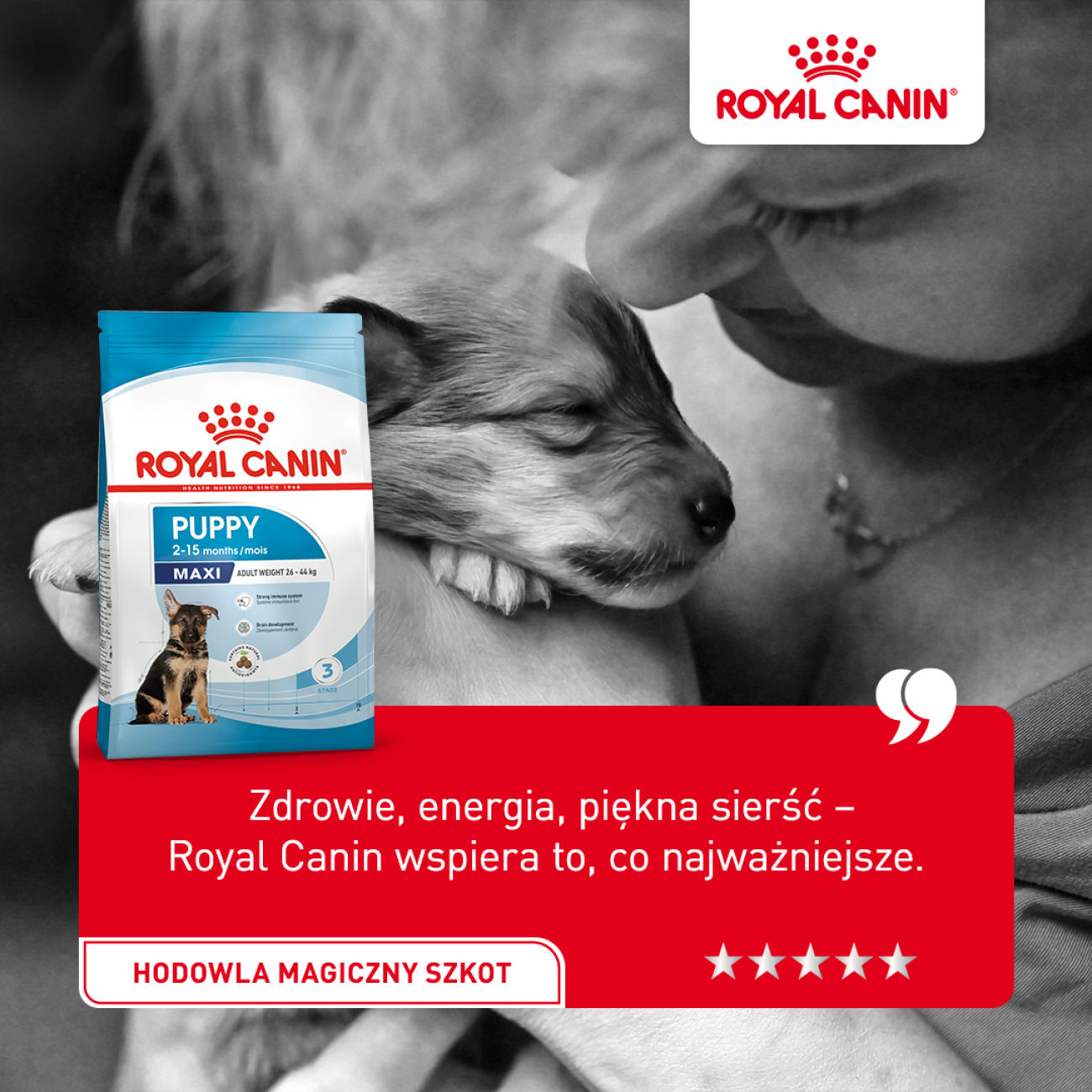  Podgląd Nazwa RC_2025_kampania_oznakizdrowia_digital_post_HMagicznySzkot_1